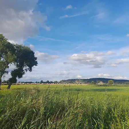 Marie Bonheur * Celles (Hainaut)